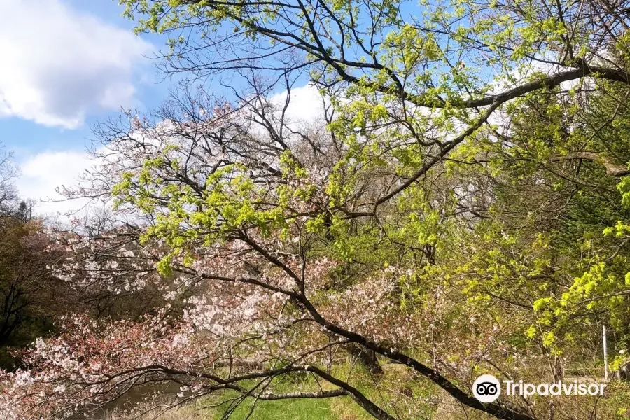 國立樹木園