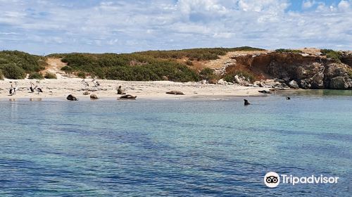 Shoalwater Islands Marine Park