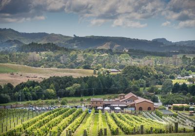 Ascension Wine Estate Matakana Auckland