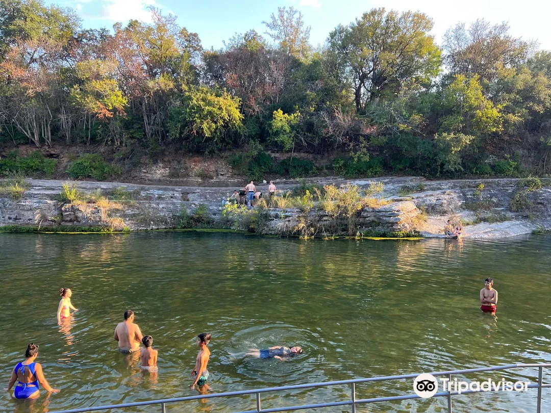 5_Barton Springs Municipal Pool