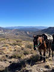 Cabalgatas & Aventura ArianePatagonia