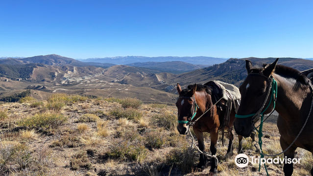 Cabalgatas & Aventura ArianePatagonia