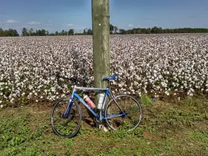 Blackwater Heritage State Trail