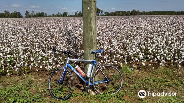 Blackwater Heritage State Trail Milton Trailhead