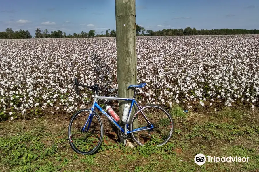 Blackwater Heritage State Trail