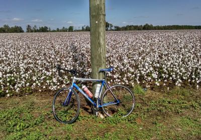 Blackwater Heritage State Trail