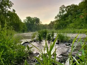 Whiterock Conservancy