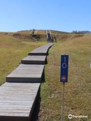 Poverty Point World Heritage Site