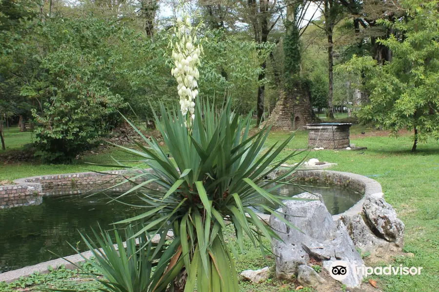 Zugdidi Botanical Garden