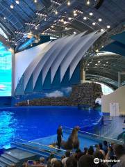 プリモルスキー（沿海州）水族館