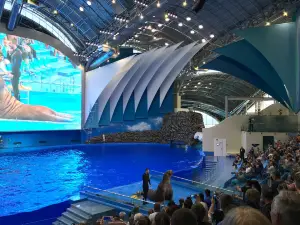 プリモルスキー（沿海州）水族館