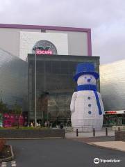 Soar Braehead