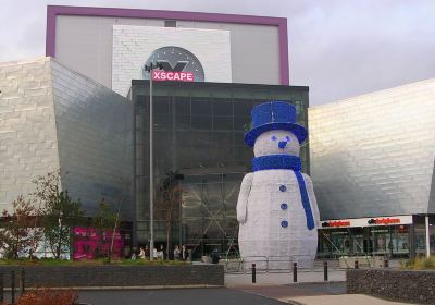 Soar Braehead