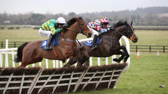 Naas Racecourse