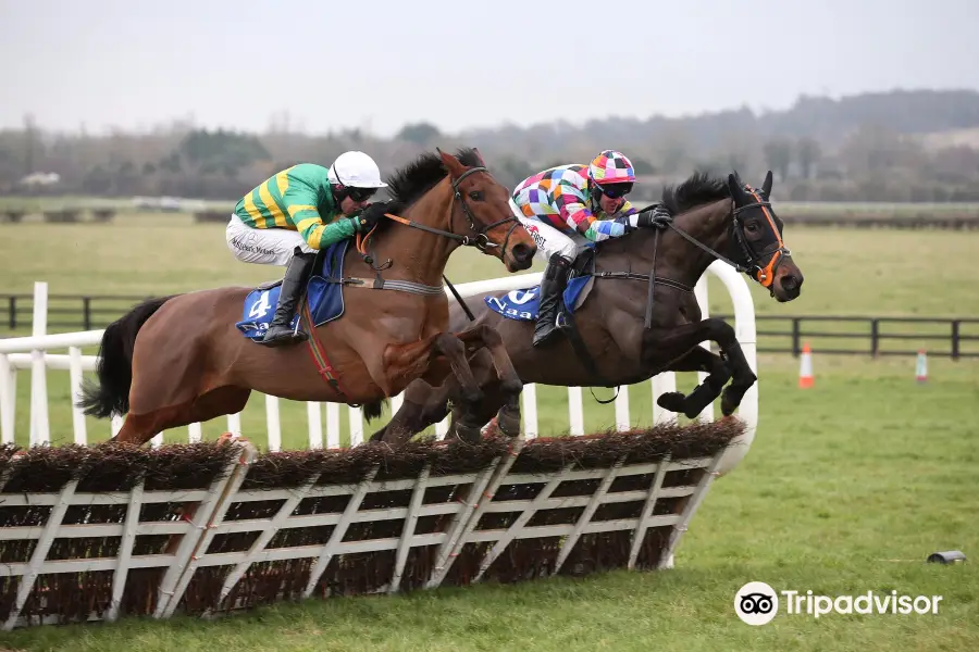 Naas Racecourse