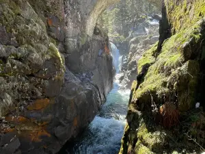 Parc naturel régional des Pyrénées catalanes