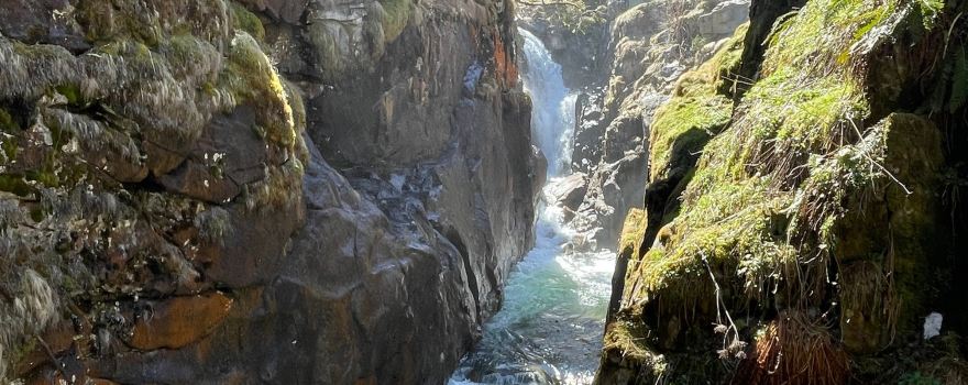 Parco naturale regionale dei Pirenei catalani
