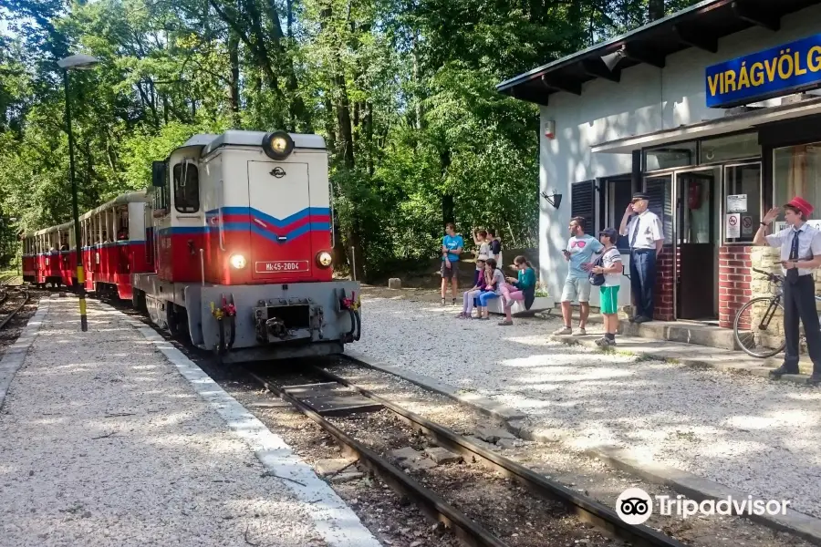 Children's Railway, Budapest