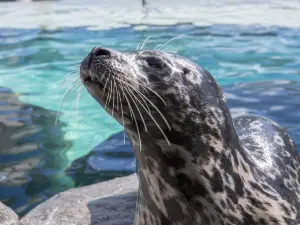 Virginia Aquarium & Marine Science Center