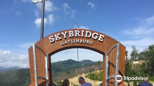 Gatlinburg Scenic Overlook