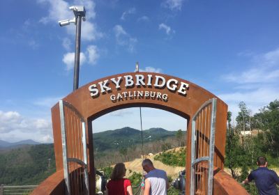 Gatlinburg Scenic Overlook