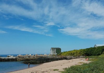 Sandy Cove Beach