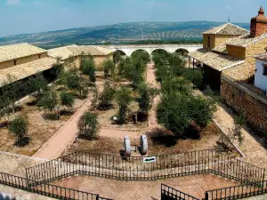 Museo de la Cultura del Olivo