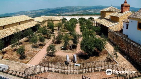 Museo de la Cultura del Olivo
