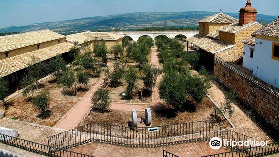 Museo de la Cultura del Olivo