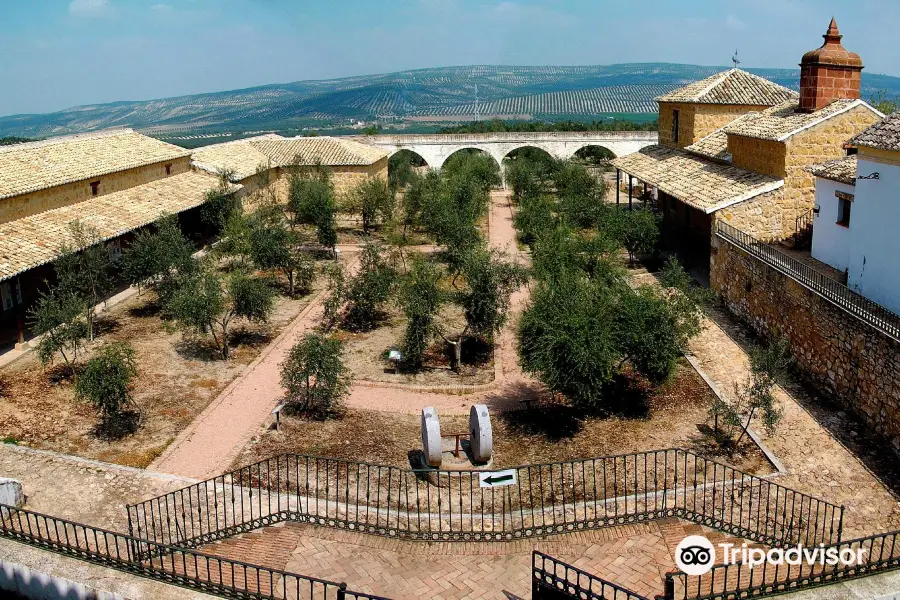 Museo de la Cultura del Olivo