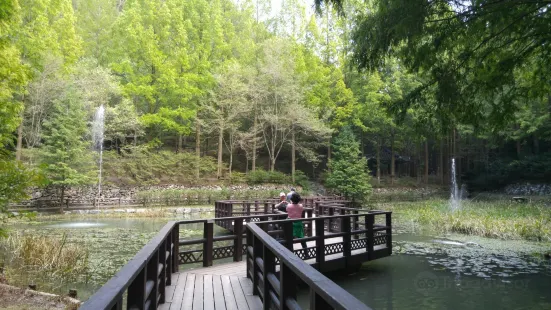 Jangtaesan Mountain Natural Recreation Forest