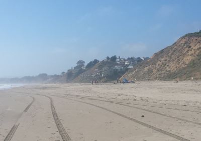 Manresa Main State Beach