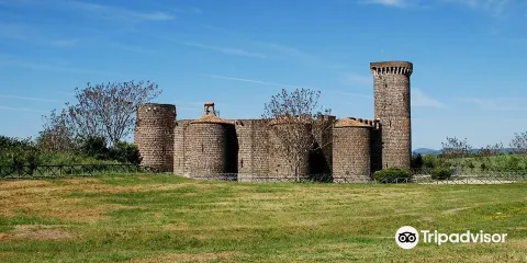 Archaeological Park of Vulci