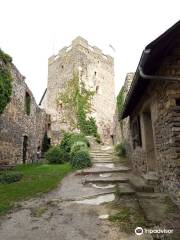 Burgruine Gosting