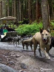 Dog Sled Discovery & Musher's Camp