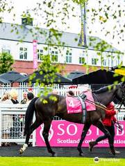 Musselburgh Racecourse