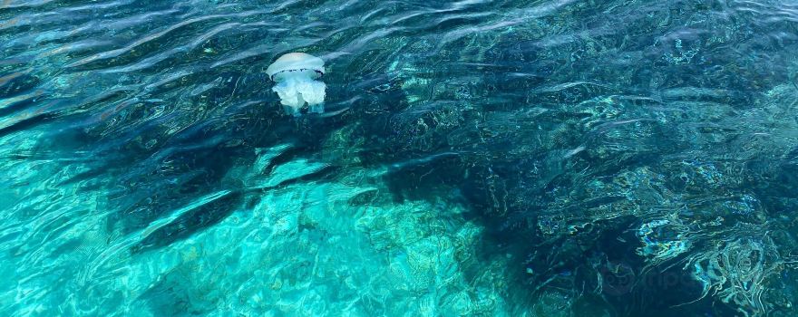 Visita alle grotte di Favignana con le barche dei pescatori