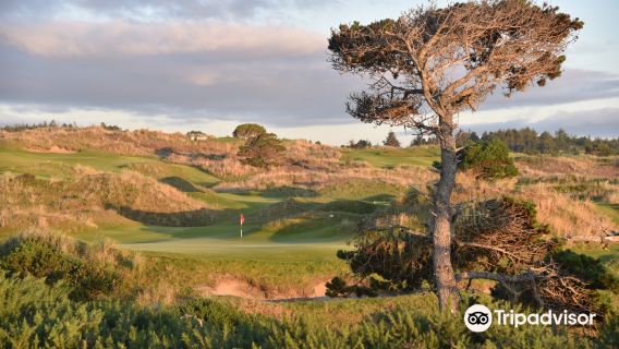 Bandon Dunes Golf Resort - Pacific Dunes