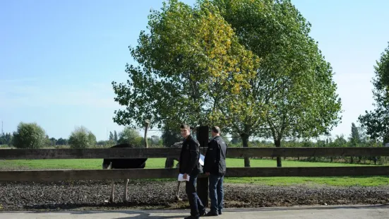 Struisvogelboerderij Schobbejaks Hoogte