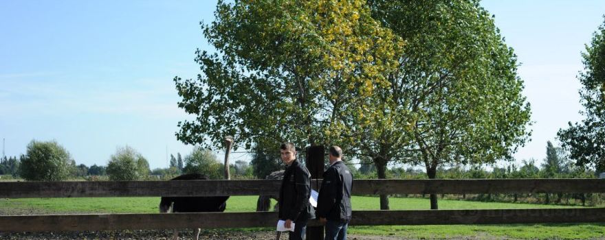 Struisvogelboerderij Schobbejaks Hoogte