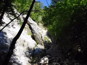 Roaring Brook Falls