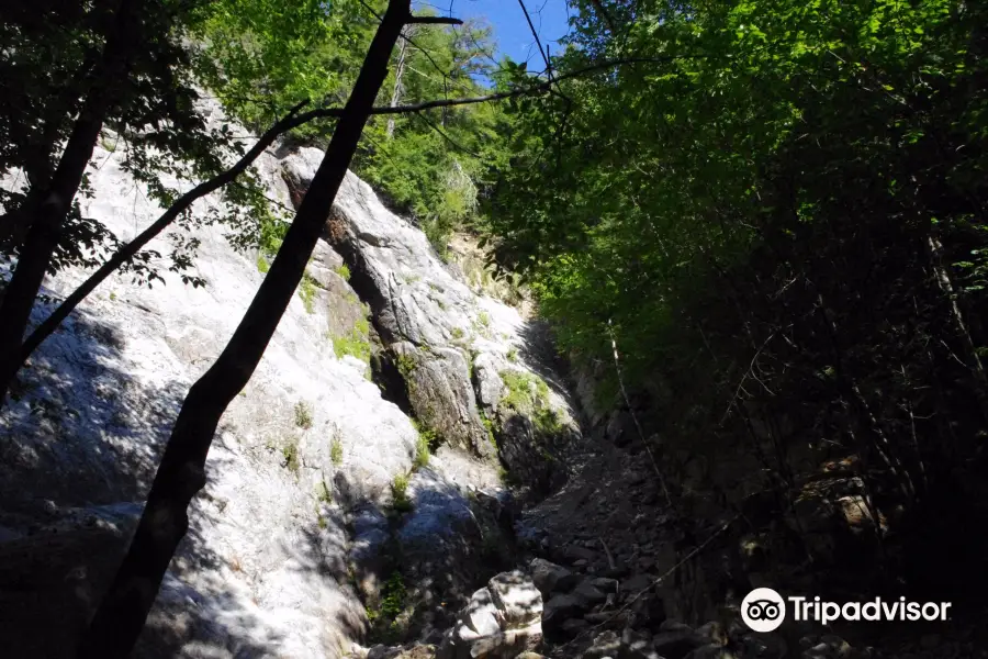 Roaring Brook Falls