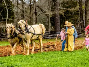 Historic Brattonsville