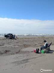 Grayland Beach State Park