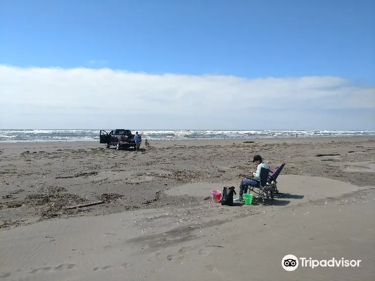 Grayland Beach State Park