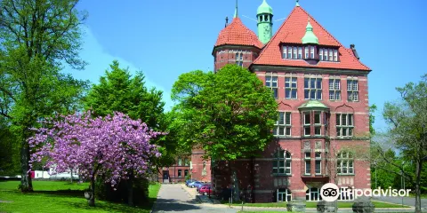 Naturwissenschaftliches Museum