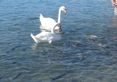 L'aquarium Naturel des Flots Bleus