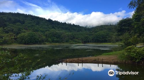 小鳥ヶ池