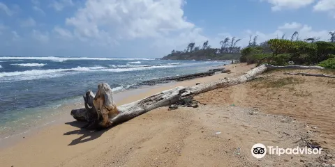 Nukolii Beach Park
