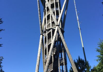 Wil's Tower (Wiler Turm)